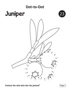 Preschool Learning Activity Puzzle Worksheet Featuring Juniper Connect Dots Ilustração Stock