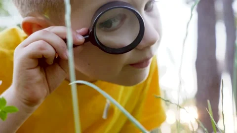 Preschooler exploring the nature with help of magnifying glass. Human and nature Stock Footage 134653924