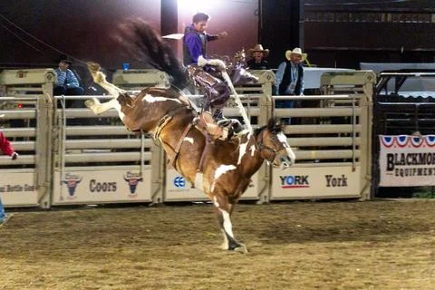 Prescott rodeo Stock Photos