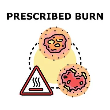 Prescribed burn concept vector art illustration Stock Illustration