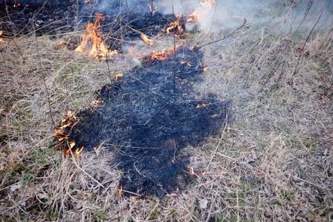 Prescribed controlled burn to create a firebreak Stock Photos