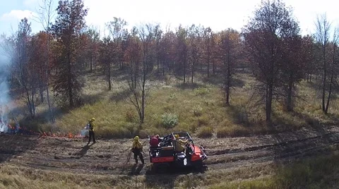 Prescribed Fire being lit along edge of forest Stock Footage 43738262