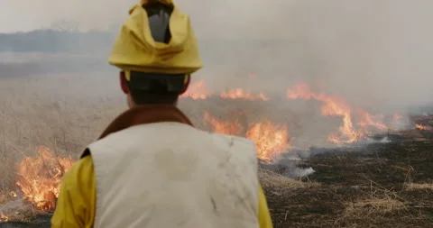 Prescribed Fire - Fire Crew Member Watching Burning Field in Illinois Stock Footage 284244061