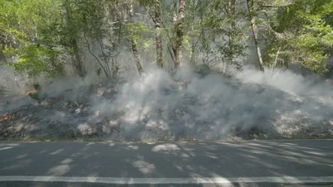 Prescribed Fire Operation with Flames and Smoke on Yurok Land Stock Footage 316650630