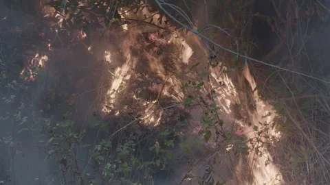 Prescribed Fire Operation with Flames and Smoke on Yurok Land Stock Footage 316650662