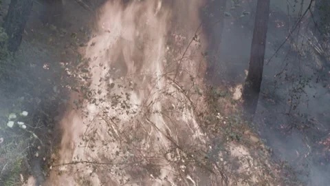 Prescribed Fire Operation with Flames and Smoke on Yurok Land Stock Footage 316651043