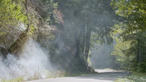 Prescribed Fire Operation with Flames and Smoke on Yurok Land Stock Footage 316651044