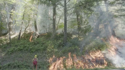 Prescribed Fire Operation with Flames and Smoke on Yurok Land Stock Footage 316651101