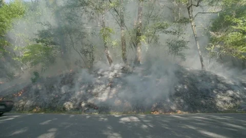 Prescribed Fire Operation with Flames and Smoke on Yurok Land Stock Footage 316651237