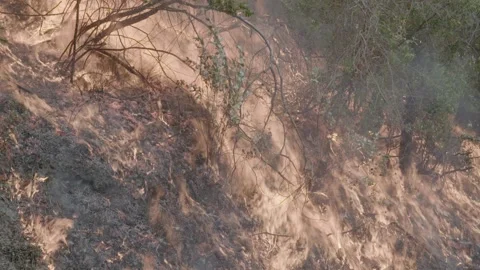 Prescribed Fire Operation with Flames and Smoke on Yurok Land Stock Footage 316651449