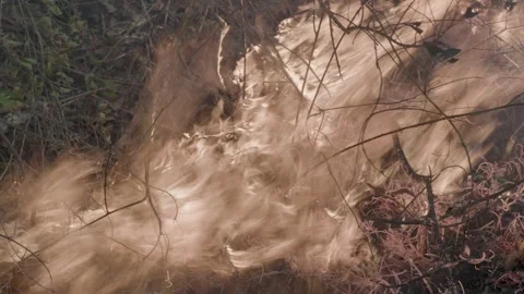 Prescribed Fire Operation with Flames and Smoke on Yurok Land Stock Footage 316651808