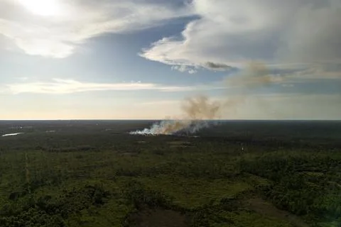Prescribed fire set intentionally in Florida woodland, clearing undergrowth w Stock Photos