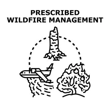 Prescribed wildfire management preventing forest fire destruction Stock Illustration