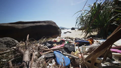 Presence Of Plastic Waste On Sandy Beach. The Accumulation Of Plastic Bottles Stock Footage 329611928