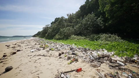 Presence Of Plastic Waste On Sandy Beach. The Accumulation Of Plastic Bottles Stock Footage 331861665