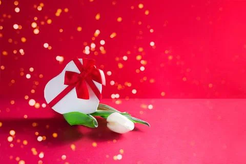 Present and tulip on red background Stock Photos