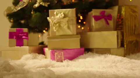 Present Box in front of the Christmas Tree Stock Footage 57749265