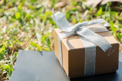 Present box with ribbon on the grass Stock Photos