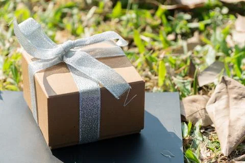 Present box with ribbon on the grass Stock Photos
