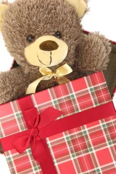 Present box with teddy bear inside Stock Photos