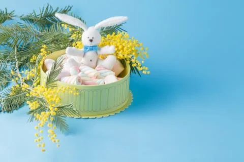 Present box with twisted marshmallow and eater bunny Foto stock