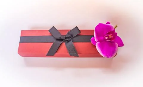 Present red box with dark bow with Purple orchid flowers on isolated background Stock Photos