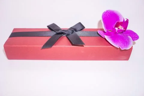 Present red box with dark bow with Purple orchid flowers on isolated background Stock Photos