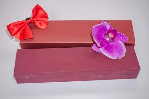 Present red box with red bow with Purple orchid flowers on isolated background Stock Photos