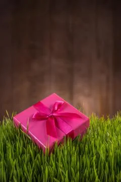 Present with red ribbon Stock Photos