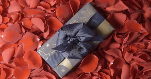 Present in red rose petals rotating, studio vertical 4K, Valentine’s Day Video stock 263687482