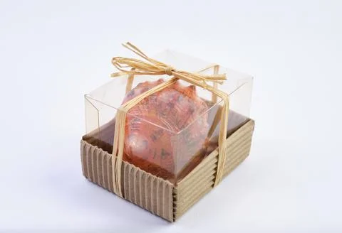 Present seashells and wrapped gift box transparent Stock Photos
