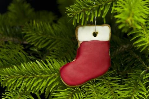 Present sock shape short bread cookie in christmas tree Stock Photos