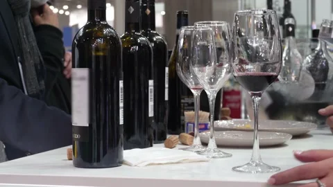 Presentation and tasting of red wine. Stock Footage 164692997