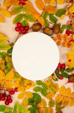 Presentation autumn template white round mockup close-up vertical copyspace o Stock Photos