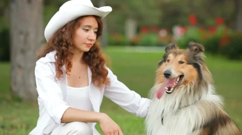 Presentation Of Dogs Video stock 52568088