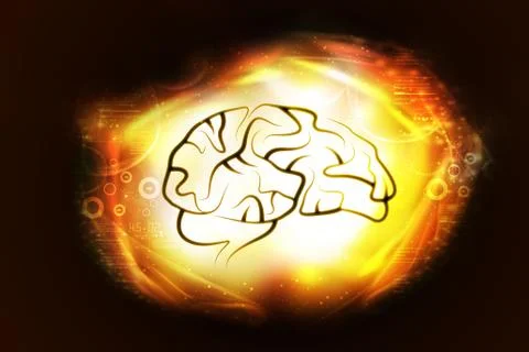 Presentation of human brain Stock Illustration