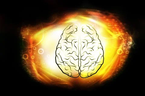 Presentation of human brain Stock Illustration