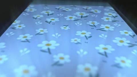 Presentation of Spring wildflowers pattern Stock Footage 303913760