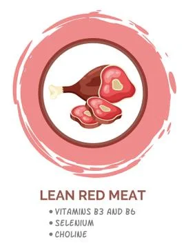 Presentation template of lean red meat. A piece of meat on the bone and steaks Stock Illustration