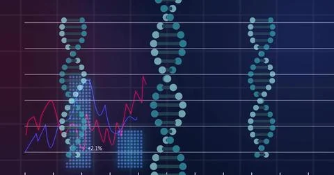 Presenting data dashboard showing DNA helix diagrams in grid panel, with pink Stock Illustration