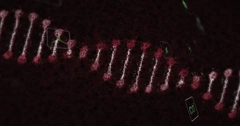 Presenting DNA double helix forming from glowing nodes on digital canvas, with 스톡 일러스트