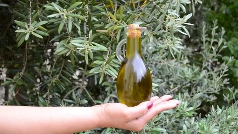 Presenting Fresh Olive Oil Stock Footage 75095662