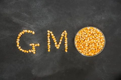 Presenting gmo shape to showing the concept Photos