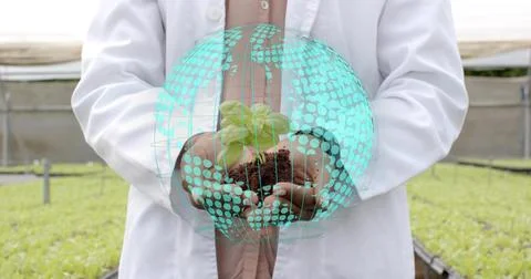 Presenting lab coat scientist holding green seedling with roots in greenhouse, Foto stock