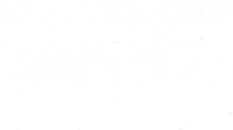 Presents Видео 281227