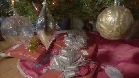 Presents under the christmas tree Stock Footage 149034098