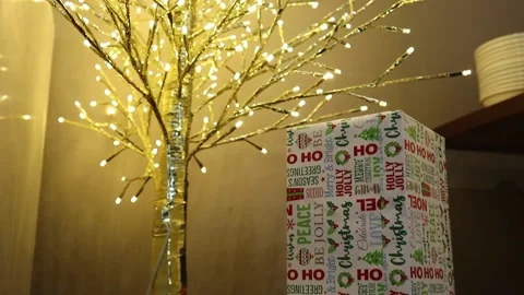 Presents under a Tree Lights Stock Footage 229457647