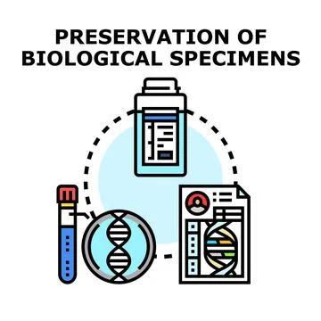 Preservation of biological specimens vector concept illustration Stock Illustration
