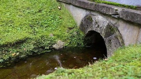 Preservation of rivers Stock-Footage 76082664