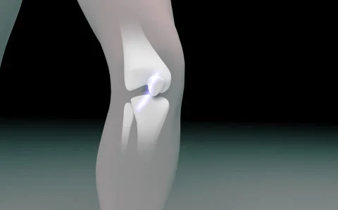 Preserve bones, increase collagen in the knee joint, 3d Rendering Stock Footage 263538807